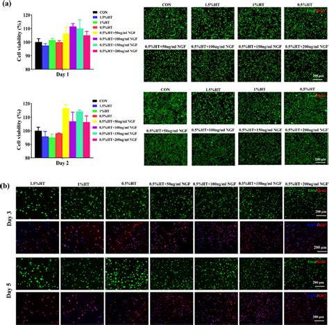 Cytocompatibility And Proliferation Of Bmsc By Ht And Htngf Hydrogels