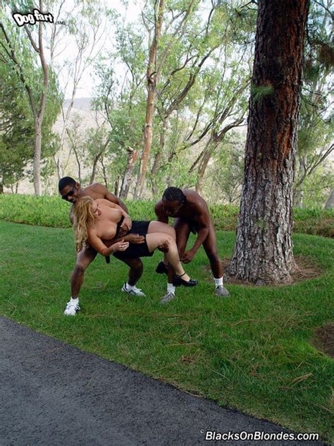 PUBLIC EROTIC 3 Public Erotic 02546 Porn Pic