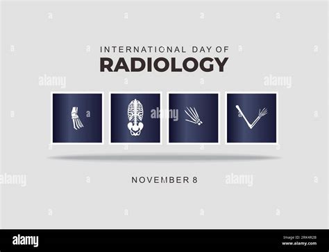 Radiologia Del Torace Immagini Vettoriali Stock Alamy