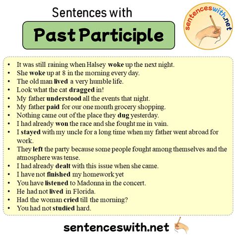 Sentences With Past Participle 16 Sentences About Past Participle In English Sentenceswith