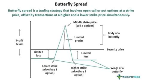 Butterfly Spread Meaning Option Strategy Examples Payoff