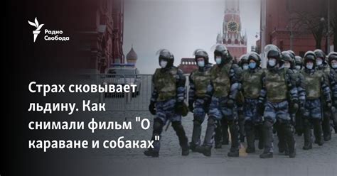 Страх сковывает льдину. Как снимали фильм "О караване и собаках"