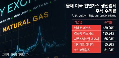 146 폭등 S공포 몰고 왔다천대받던 천연가스 14년 만에 부활 머니투데이