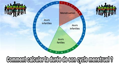 Comment Calculer La Dur E De Son Cycle Menstruel Youtube