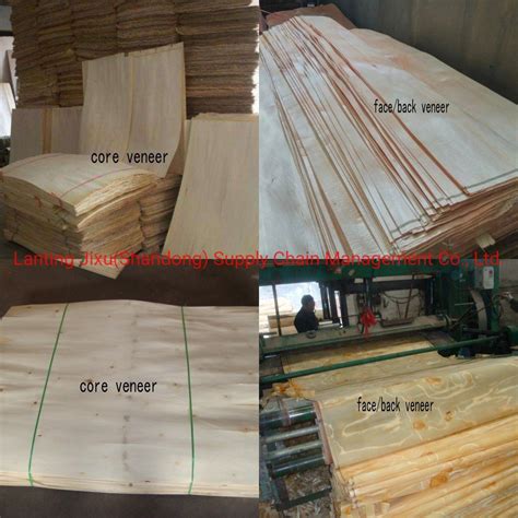 Birch Pine Bintangor Plb Okume Natural Face Veneer For Commercial