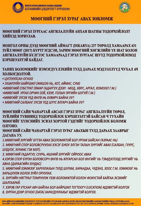 Мөөгний зургийг чанартай авах зөвлөмж