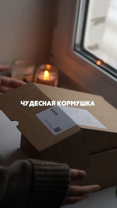 Кормушка для птиц #кормушкадляптиц #кормушка #зима #зимниеразвлечения # ...