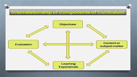 What Are The Examples Of Curriculum Development Design Talk