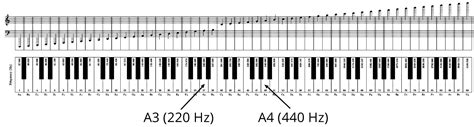 Anatomy Of How To Sing High Notes Without Strain Throga