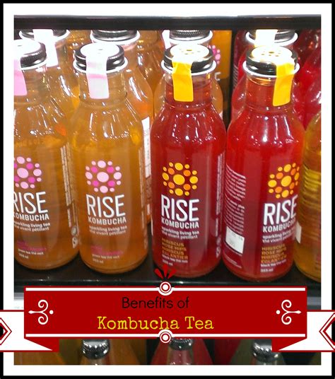 Kombucha Tea | Eco-Savy