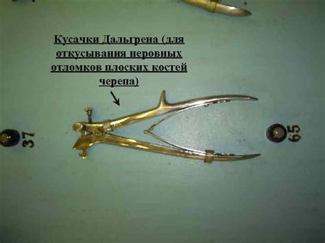 Брюшистый скальпель Остроконечный скальпель ланцет Ножницы прямые