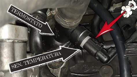 Localizacion Sensores De Temperatura Y Termostato I SEAT LEON TDI II