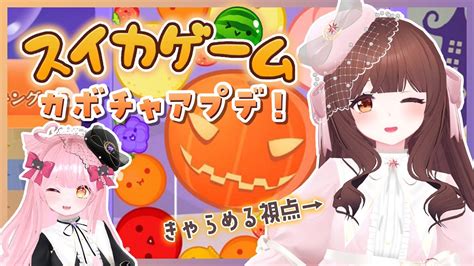 🔴【スイカゲーム】ハロウィンアプデきちゃ！めるもこでカボチャつくりたいっ！！🎃【きゃらめる Vtuber】 Youtube