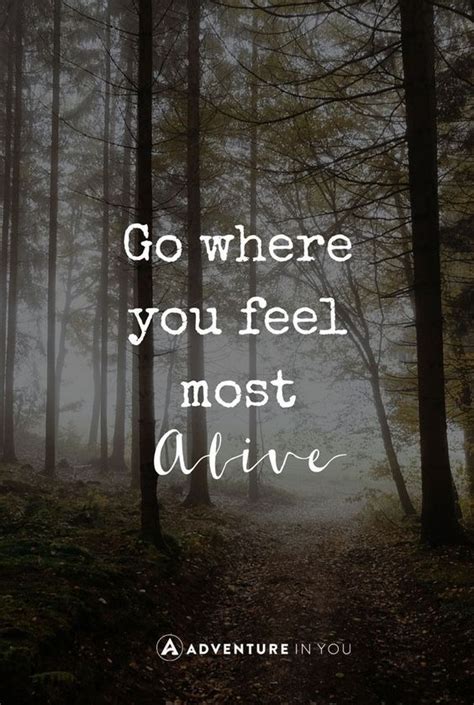 Go Where You Feel Most Alive Life Quotes Quotes Quote Inspirational