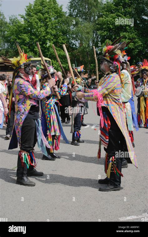 Morris Dancing Black Pig Border In Action Stock Photo Alamy