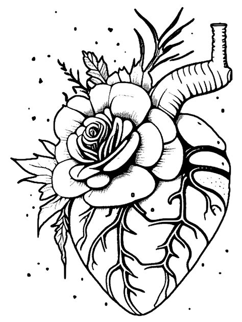 Anatomical Heart Coloring Page With Floral Design · Creative Fabrica