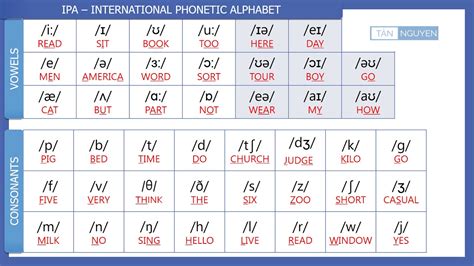 International Phonetic Alphabet Symbols Printable Templates Free