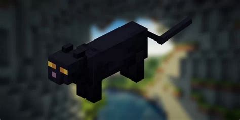 Minecraft Comment Apprivoiser Et Faire Se Reproduire Les Chats