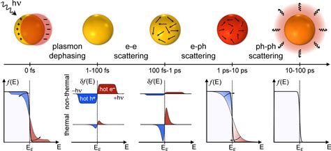 Ultrafast Hot Electron Dynamics In Plasmonic Nanostructures