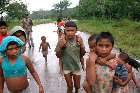 Povos Indígenas Nukak E Campesinato De Guaviare Apresentam Acordo De