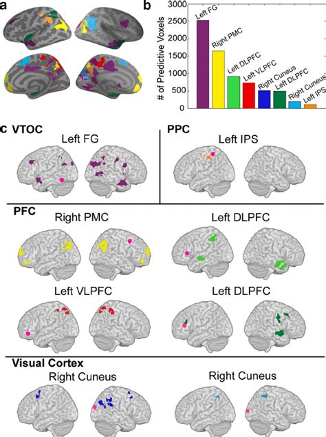 Intrinsic Functional Connectivity Of Brain Regions Identified In The