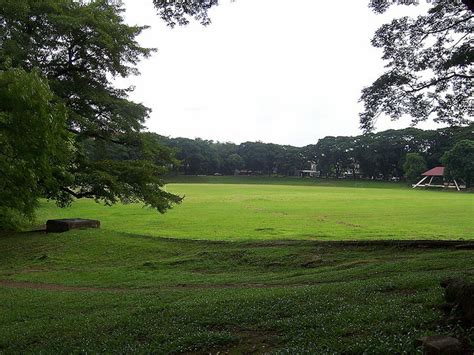 University Of The Philippines Diliman