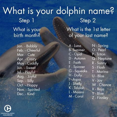 Marine Animals With Cool Names