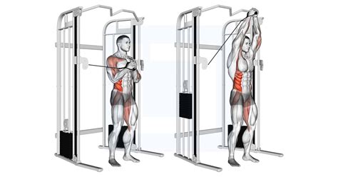 Medicine Ball Rotational Throw Guide Benefits And Form