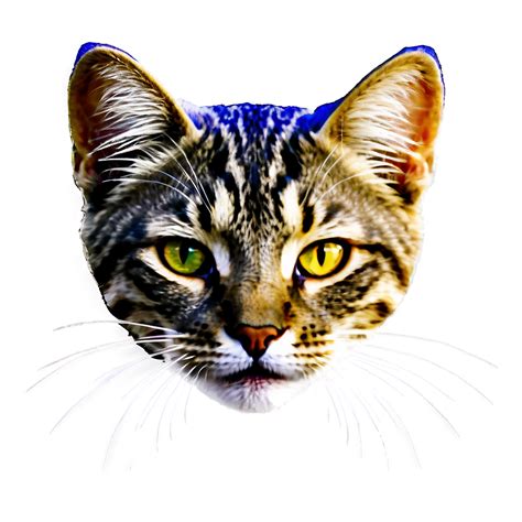Download Cat Head C