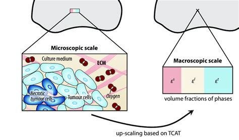 Microscopic To Macroscopic Up Scaling At The Microscopic Scale All