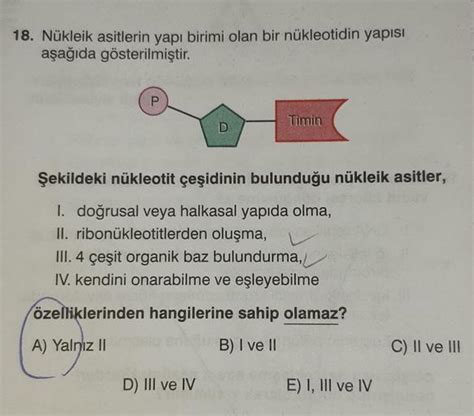 18 Nükleik Asitlerin Yapı Birimi Olan Bir Nükleoti Biyoloji