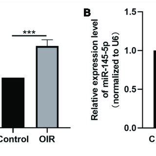 Tug1 Expression Was Upregulated And MiR 145 5p Was Down Regulated In