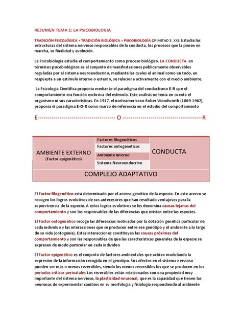 Resumen Tema 1 Psicobiologia Pdf