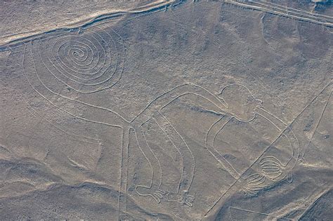 Facts About Nazca Lines Factsnippet