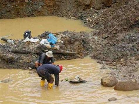 Bolivia Lo Mejor Que Tenemos Lucha Contra MinerÍa Ilegal De Oro En