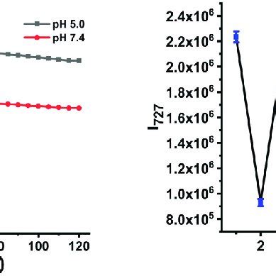 Photostability Of Mm Fluorescent Probe Ah At Ph And Ph In