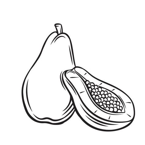 Papaya Fruit Icon