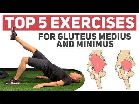 Most Effective Gluteus Maximus Exercises