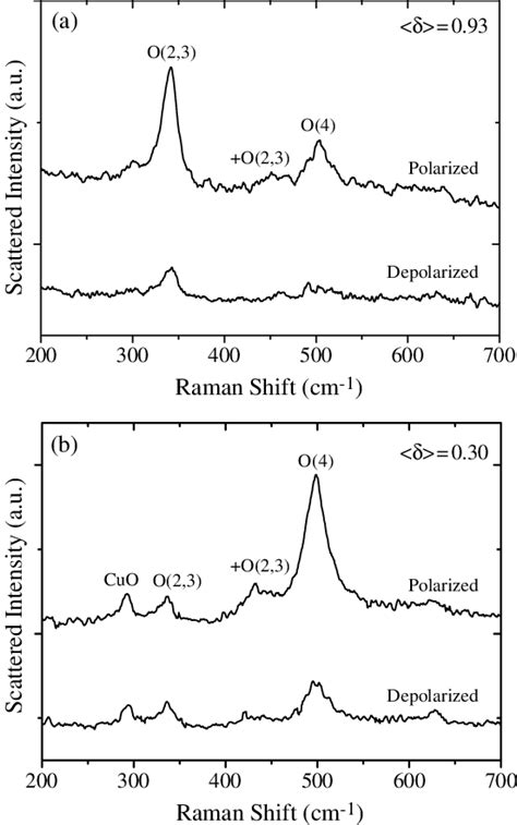 Polarized And Depolarized Raman Spectra For Two Tfa Ybco Grown Samples