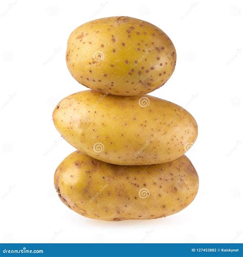 Batata Crua Isolada Em Um Fundo Branco Foto De Stock Imagem De Bulbo