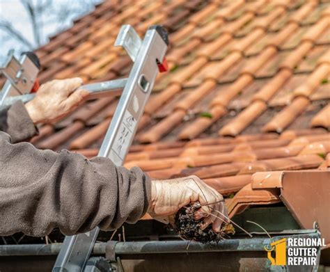 What Is The Best Type Of Ladder For Cleaning Gutters Regional Gutter