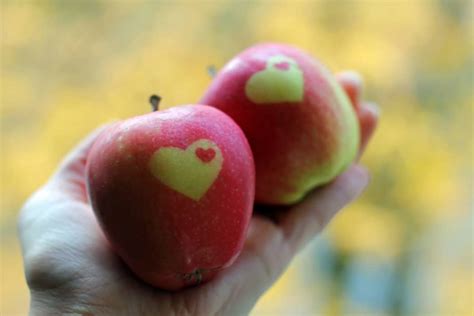 Apfel Das Heimische Superfood Im Gesundheitscheck