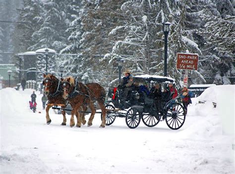 Solve Snowy Carriage Ride Jigsaw Puzzle Online With 108 Pieces