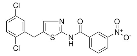 N 5 2 5 DICHLOROBENZYL 1 3 THIAZOL 2 YL 3 NITROBENZAMIDE AldrichCPR