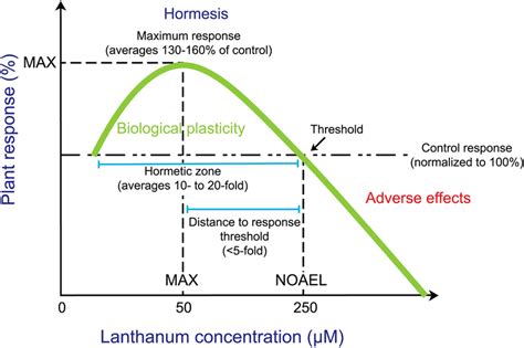 Schematic model of a representative idealized biphasic dose–response ...