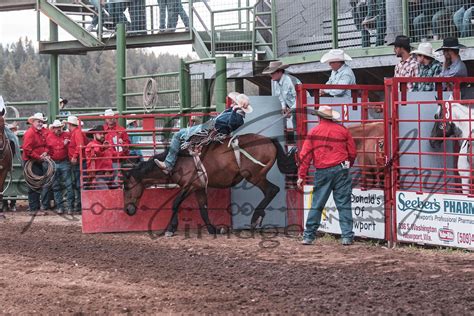 Purchase Newport Rodeo Tickets