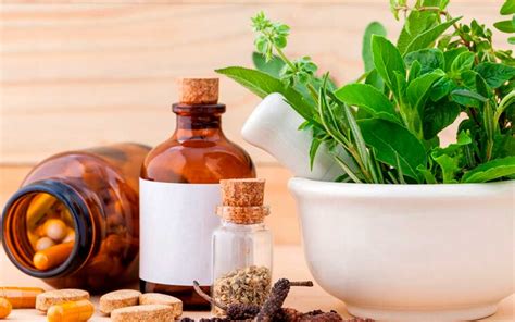 ¿dónde Estudiar Medicina Natural En Cuernavaca