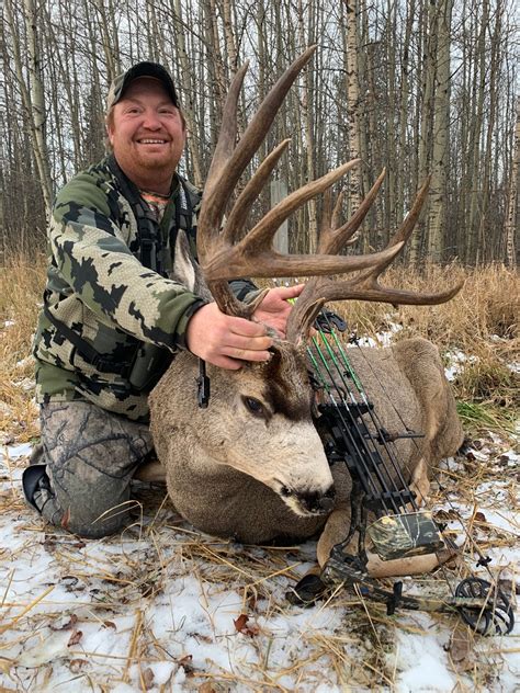 Alberta Whitetail Deer Hunting Trophy Whitetail Hunts In Alberta Canada