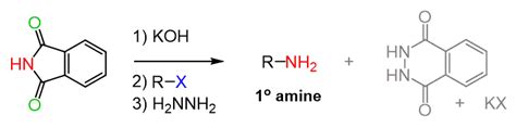 The Gabriel Synthesis Chemistry Steps