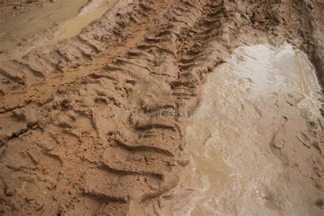 Ground Level View Horizontal Cu Muddy Jungle Road With Pool Of Mud In